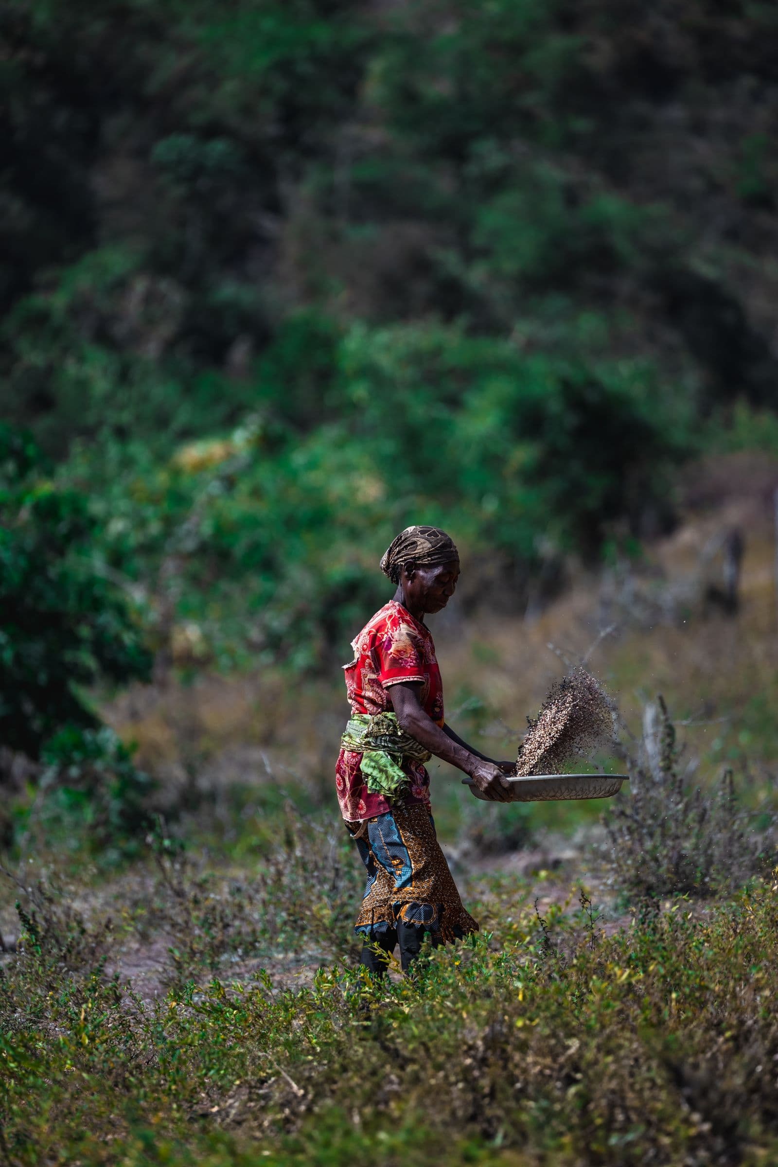 The Middle Belt's Long War: Land, Faith and the Killing Fields of Plateau and Benue