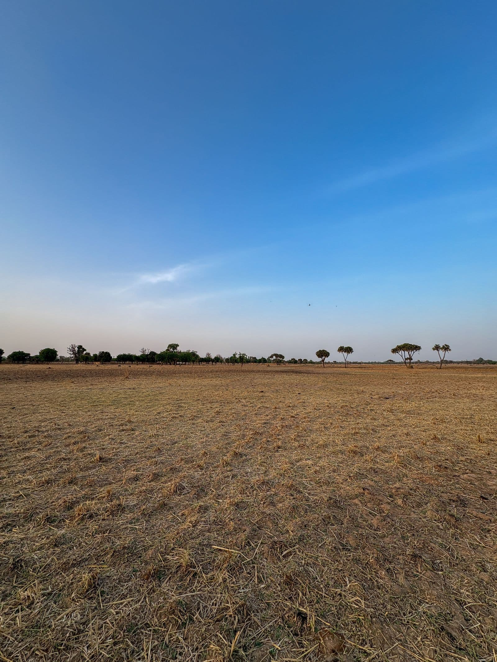 Access and Safety: What the Record Tells Field Operations in Nigeria's North